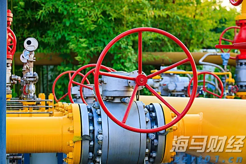 新独角兽Reka AI融资1.1亿美元 投资者包括英伟达(NVDA.US)和Snowflake(SNOW.US)