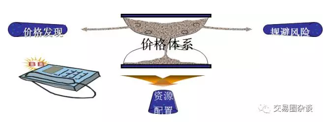 岭师健儿闪耀省大运会赛场